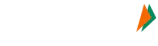 IMPS pay logo