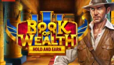 Book of wealth slot